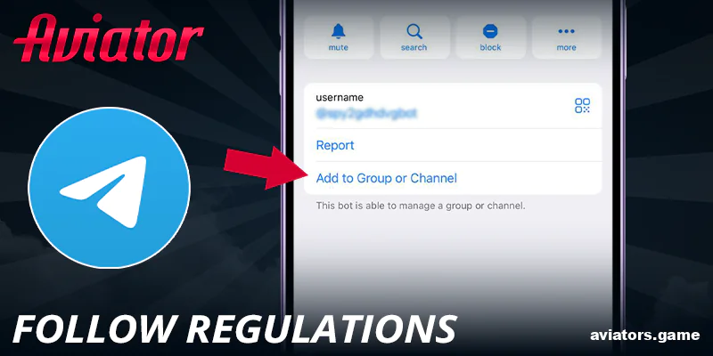 Follow the bot's operational guidelines