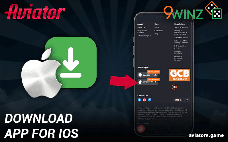 Getting the 9winz Mobile App on Apple Devices
