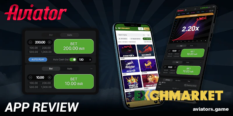 Exploring the Exchmarket Aviator user interface
