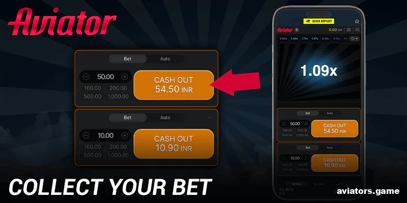 Secure your profit by hitting the cash-out button before the plane disappears.